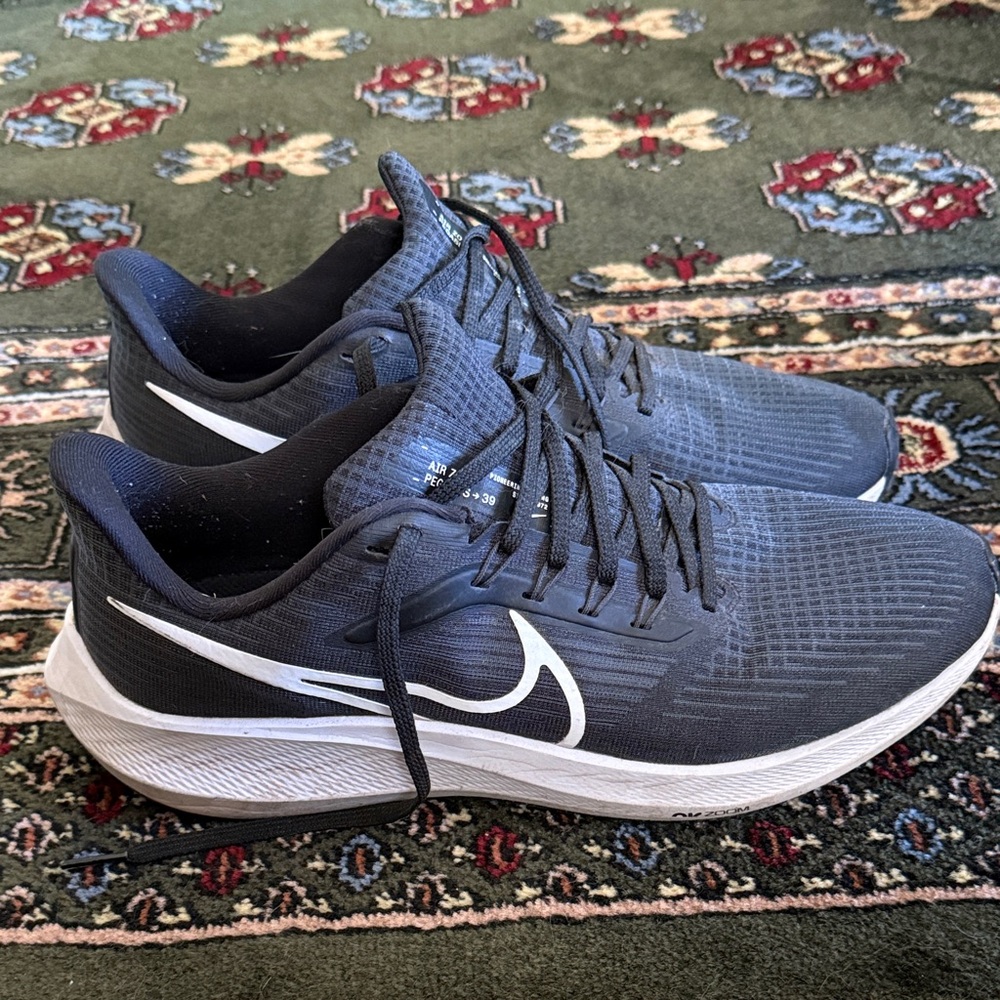 Nike Pegasus 39